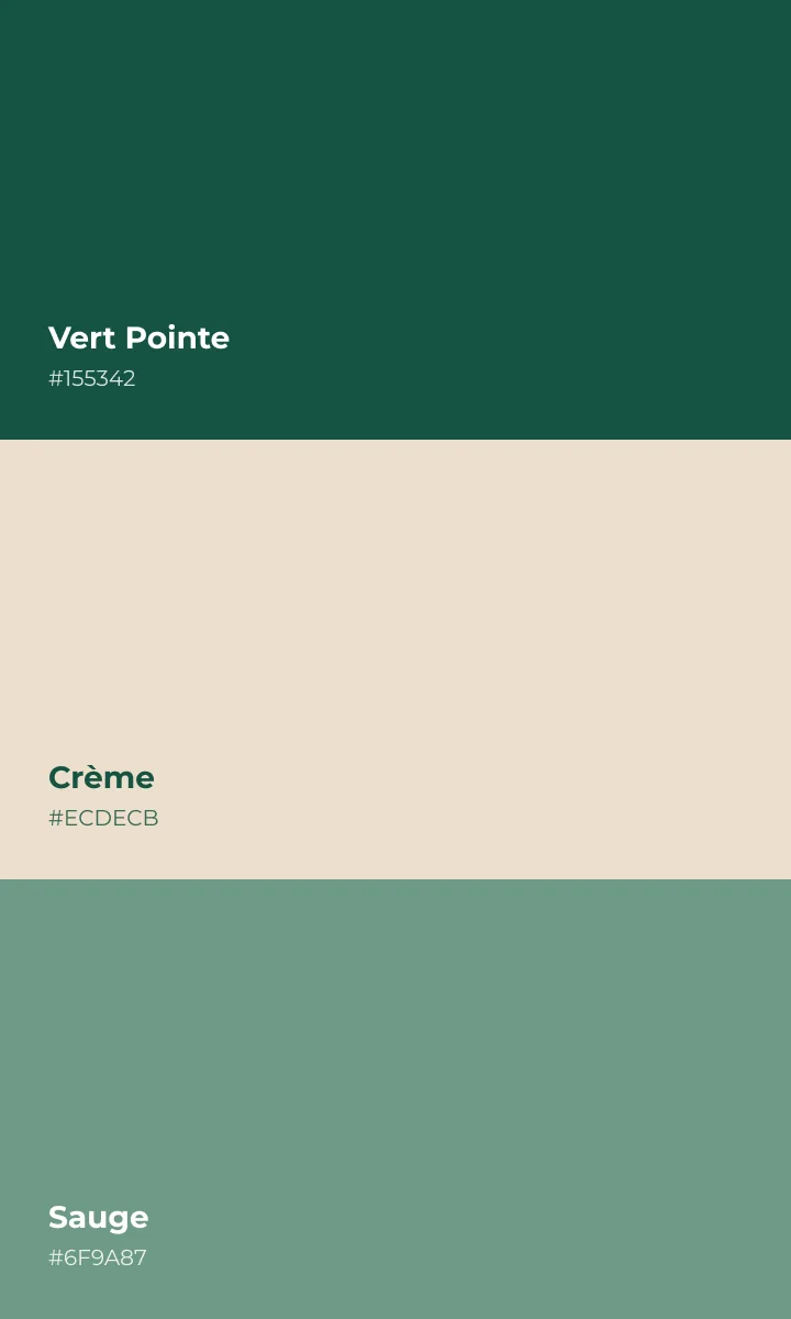 Palette Pointe de Sel : vert Pointe, crème et sauge.